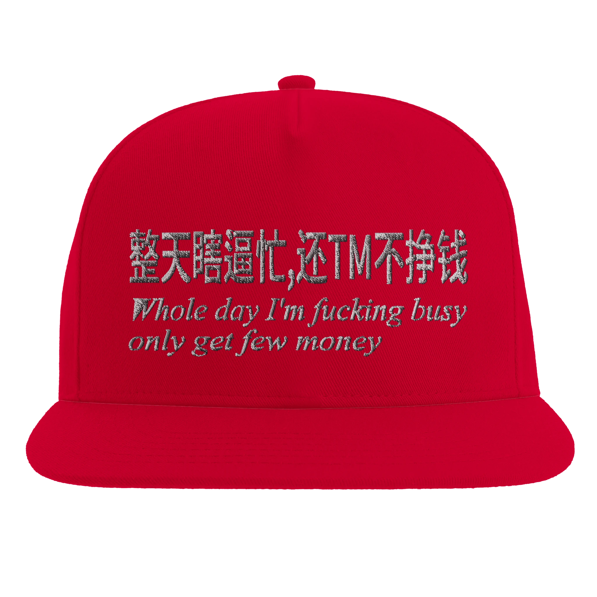 "Whole Day I'm Busy" - Flat Bill Cap | Yupoong 6007 Secondary image
